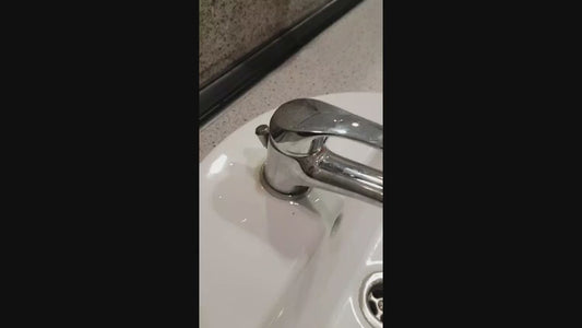 Detergent Sanitar Ecologic si Biodegradabil